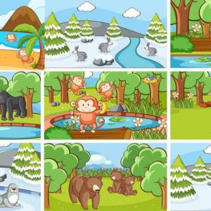 Ciências 4º Ano Fundamental – Os estados físicos da água e as mudanças de estado físico da água por alteração na temperatura do ambiente, o ciclo da água na natureza.