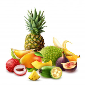 Geografia 8º Ano Fundamental – Agricultura na América Latina e América Anglo-Saxônica, produção agrícola na América Latina, exploração florestal na América do Sul, frutas tropicais, passado colonial e reforma agrária na América Latina, agricultura itinerante e análise de mapa e produção agrícola.