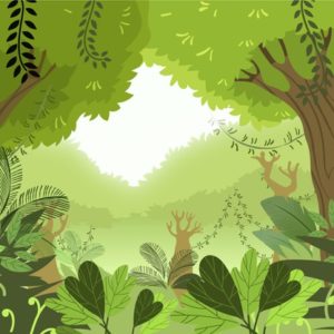 Geografia 8º Ano Fundamental – Vegetação e países americanos, destaques da pecuária no Continente Americano, pecuária intensiva e extensiva, transformação da paisagem e a agropecuária e desmatamento e a agropecuária no Brasil.