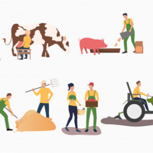 Geografia 8º Ano Fundamental – Densidade demográfica da Argentina e do Paraguai, população e concentração demográfica argentina e paraguaia; idioma, população e colonização no Uruguai e no Paraguai; aspectos econômicos da Argentina e do Paraguai.