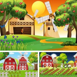 Geografia 4º Ano Fundamental –  Zona rural e urbana, características da zona rural, zona Rural e a agricultura, zona rural e a pecuária, centro e subúrbio, tipos de bairros, a vida na cidade, problemas das cidades e relações entre zona rural e zona urbana.