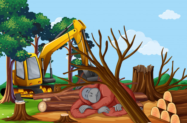 Ciências 6º Ano Fundamental - Os desequilíbrios ecológicos, desmatamentos e a ação humana, os diferentes tipos de poluição ambiental, clorofluorcarbonetos e a ameaça à camada de ozônio, eutrofização e a poluição das águas, a chuva ácida, o aquecimento global e as suas consequências.