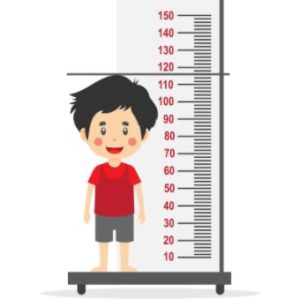 Matemática Educação Infantil I – Tamanhos.