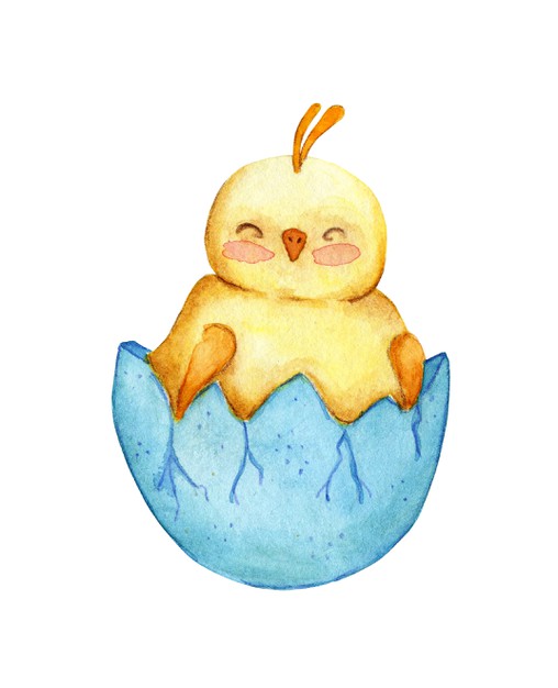 Ciências 1º Ano Fundamental - Como nascem os animais: animais vivíparos e ovíparos.