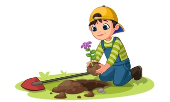 Ciências 1º Ano Fundamental - Os solos: aprendendo sobre suas funções e a importância da sua preservação.