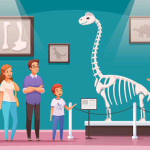 História 3º Ano Fundamental – Os patrimônios históricos e culturais brasileiros: patrimônio histórico material, patrimônio histórico imaterial.