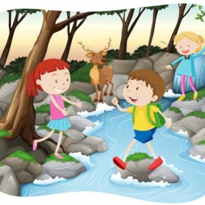 Geografia 6º Ano Fundamental – O ciclo hidrológico, escoamento superficial da água nos ambientes urbanos e rurais, a importância da preservação das matas ciliares, águas subterrâneas: a formação dos aquíferos, o que são e como são formadas as bacias hidrográficas, erosão pluvial: o que são as voçorocas.