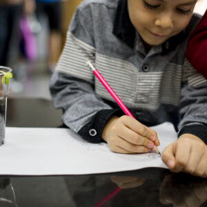 Apostila de Língua Portuguesa- Práticas de Linguagem: Análise linguística/ semiótica (alfabetização) – Habilidades BNCC: EF01LP09.