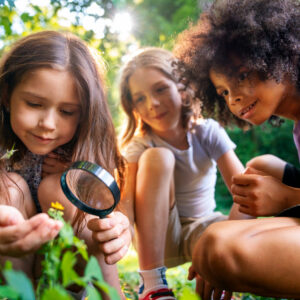 Apostila de Ciências – 7º Ano do Ensino Fundamental – Habilidades: EF07CI07 e EF07CI08.