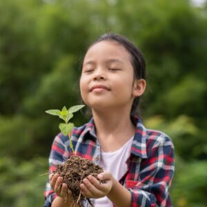 Apostila de Ciências – 6º Ano do Ensino Fundamental – Habilidades: EF06CI11 e EF06CI12.